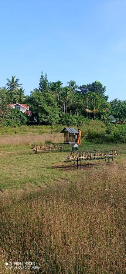 Narayanalayam-Vintage Retreat-Homestay & Rest'Inn Kannur Eksteriør billede