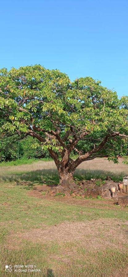 Narayanalayam-Vintage Retreat-Homestay & Rest'Inn Kannur Eksteriør billede