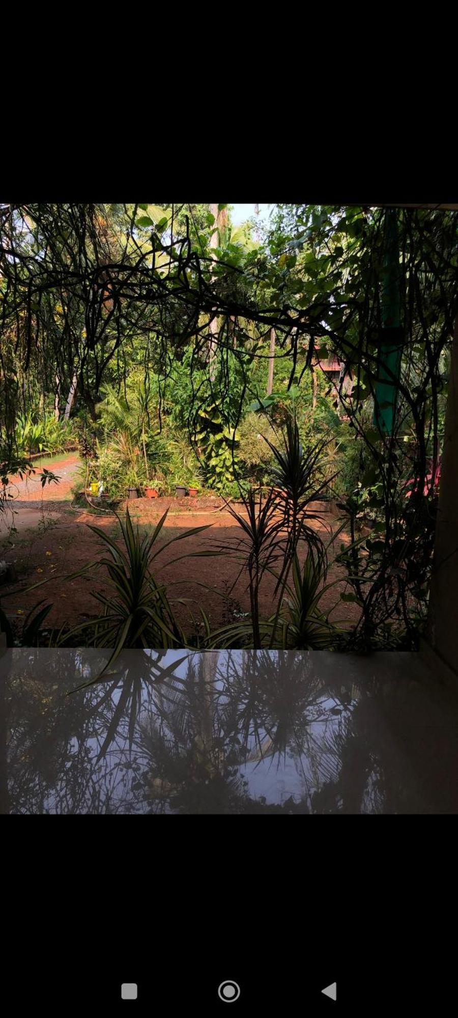 Narayanalayam-Vintage Retreat-Homestay & Rest'Inn Kannur Eksteriør billede